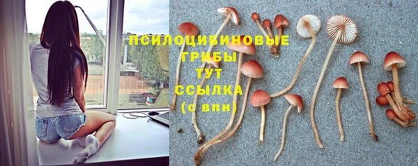 прущая мука Киренск