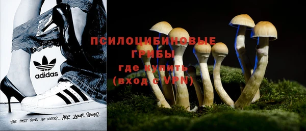 прущая мука Киренск